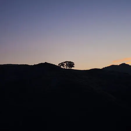 Εξοχικό σπίτι Casa Lola San Pedro (Gran Canaria)
