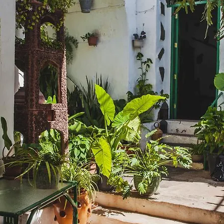 Casa Lola *